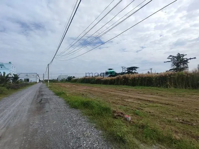 Đất Nền Hiếm Khu Dân Cư Cần Giuộc Giá Chỉ 7,5 Triệu/M2.