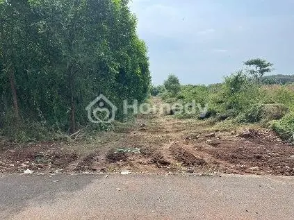 Bán 7.7 Sao (7692 M²) Đất Xã Long Tân, Đất Đỏ, Bà Rịa – Vũng Tàu Giá 2.7 Tỷ/Sào