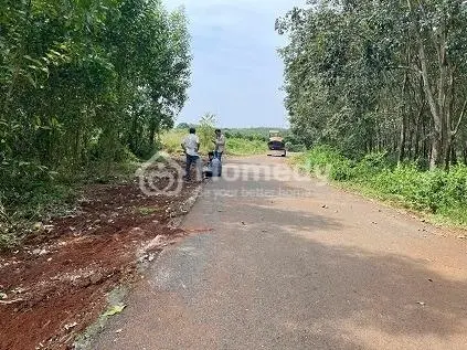 Bán 7.7 Sào (7692 M²) Đất Xã Long Tân, Đất Đỏ, Bà Rịa – Vũng Tàu Giá 2.7 Tỷ/Sào