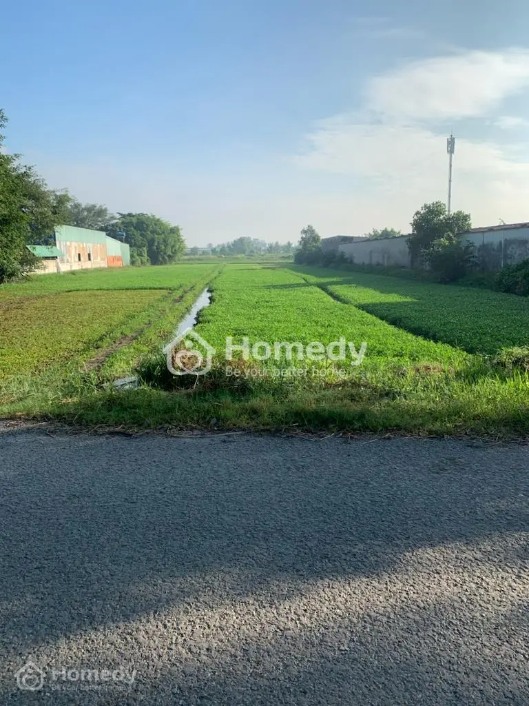 Bán Đất Chính Chủ, Full Thổ Cư