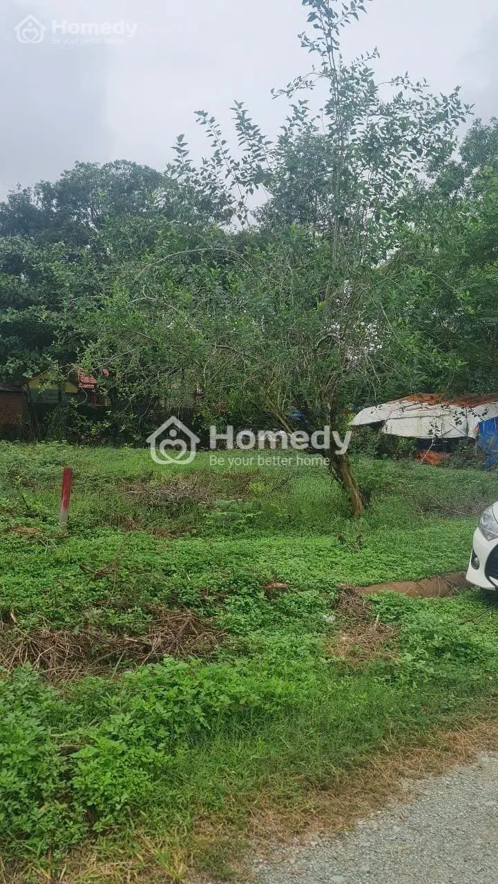 174M2 Ful Thổ Cư Giá 11,8 Tỷ Đường 2 Ô Tô Phường Long Trường, Quận 9