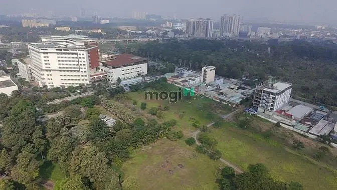 Góc 2Mt D400 Tân Phú – Ngang 10M – Full Thổ – Dòng Tiền Sẵn P. Tân Phu