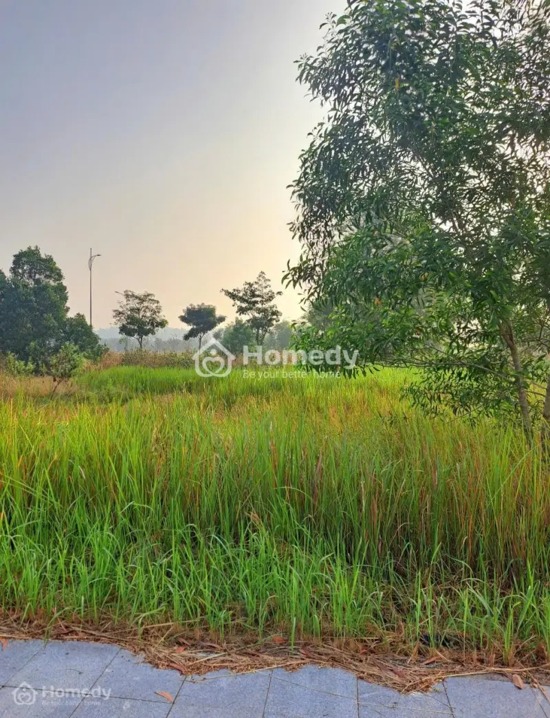 Bán Đất Nền Dự Án Biên Hòa New City, Từ 19 Triệu/M2, 121M2, Q.biên Hòa, Đồng Nai