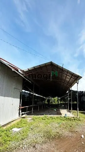 Chỉ 380Tr/Sào Sở Hữu Ngay Đất Vườn, Cách Nhựa Chính Nagoa 100M