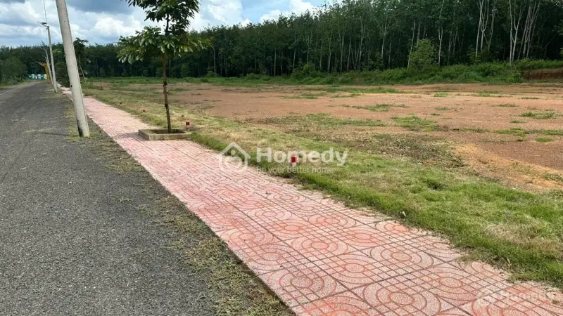 🔥 Vốn Ban Đầu 80 Triệu Có Ngay Đất Đầu Tư Tại Đồng Phú - Bình Phước 🔥