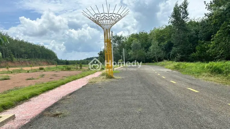 🔥 Vốn Ban Đầu 80 Triệu Có Ngay Đất Đầu Tư Tại Đồng Phú - Bình Phước 🔥