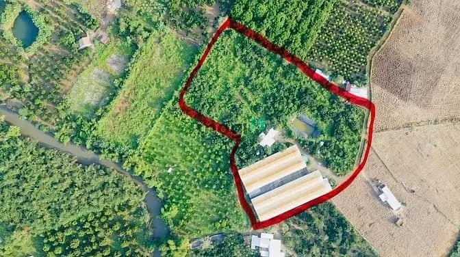 Chỉ 380Tr/Sào Sở Hữu Ngay Đất Vườn, Cách Nhựa Chính Nagoa 100M