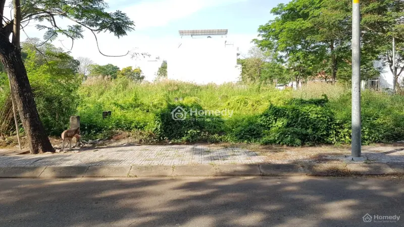 Bán Dự Án Kdc Hưng Phú, Đường Liên Phường, Phước Long B, Tp Thủ Đức.