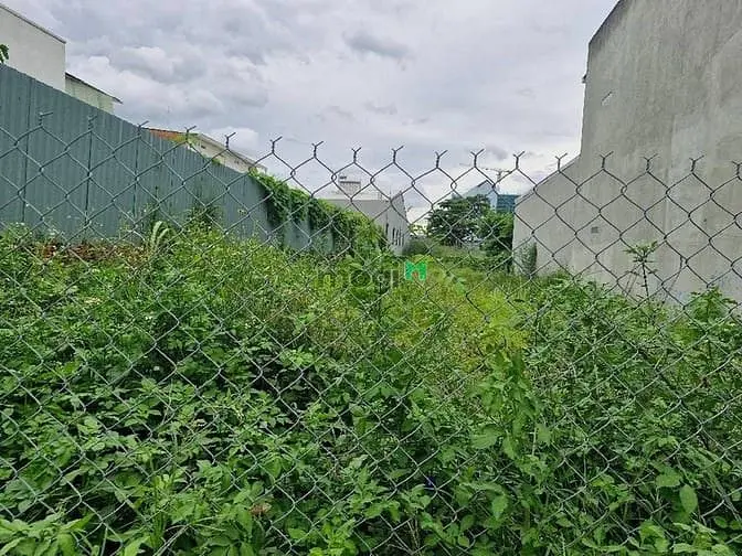 Bán Đất Đường Xe Hơi 8M - Lò Lu - 225M2 (5.3M X 30M) - Nở Hậu 8,66M