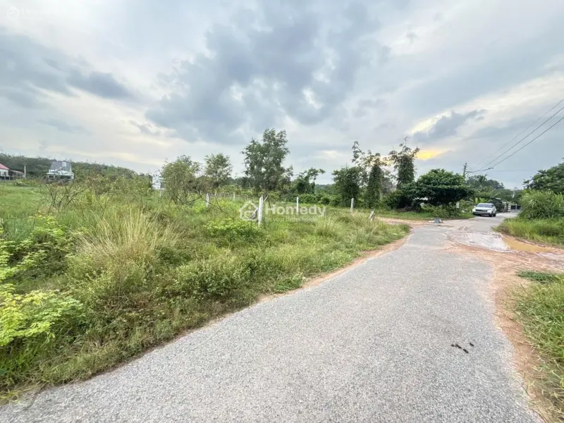 Cần Bán Đất An Điền Bến Cát, Đường Nhựa 6M, Cách Chợ 5P Đi Xe