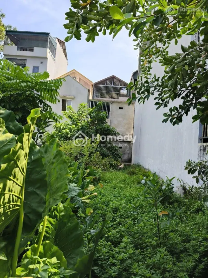 Bán Thổ Cư Tt Tây Đằng, Dt100M2, Mt5M, 2 Mặt Thoáng, 3.95 Tỷ Ba Vì, Hà Nội.