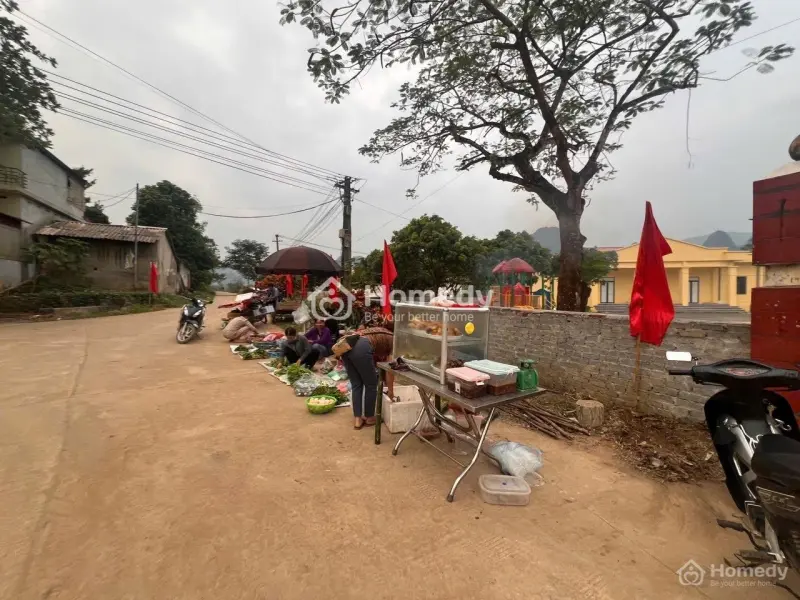 Mình Chính Chủ Cần Bán Gấp 123.9M Full Thổ Cư Tại Lương Sơn Giá Chỉ Hơn 500Triệu