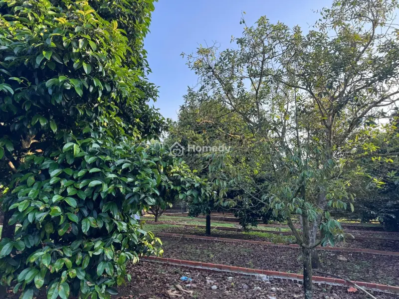 🏠 775 Triệu – Đất Full Thổ Cư Bàu Hàm 2 - Sổ Riêng