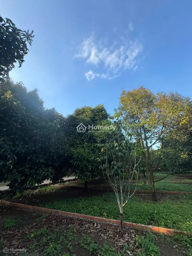 🏠 775 Triệu – Đất Full Thổ Cư Bàu Hàm 2 - Sổ Riêng