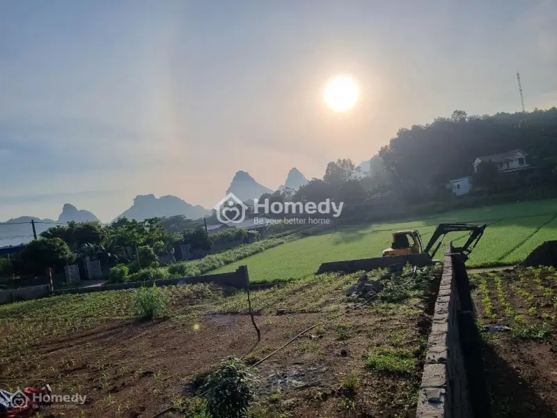 Mình Chính Chủ Cần Bán Gấp 123.9M Full Thổ Cư Tại Lương Sơn Giá Chỉ Hơn 500Triệu