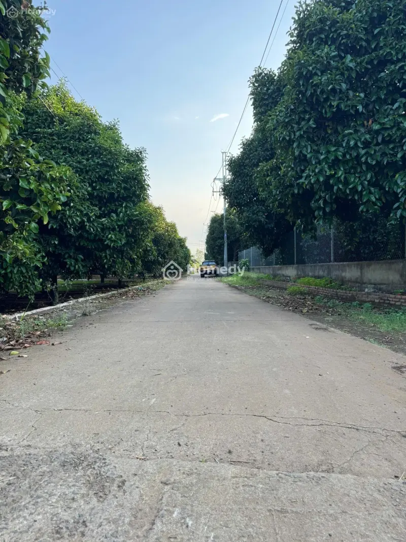 🏠 775 Triệu – Đất Full Thổ Cư Bàu Hàm 2 - Sổ Riêng