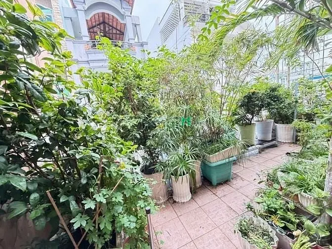 Gấp Bán Trung Tâm Q.10 - Thành Thái - 45M2 Hẻm Xe Hơi Tránh - 11Ty