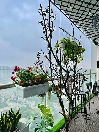 Chính Chủ Bán Ch Golden Park Dt 98M 3Pn Full Nt Sđcc 10 Tỷ Hướng Đn