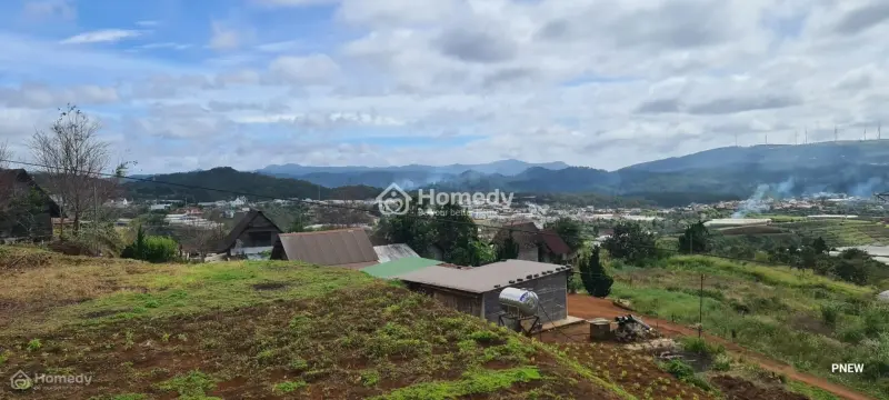 Cần Bán Lô Đất Đầu Tư Và Nghỉ Dưỡng 3100M2 Tp Đà Lạt, 11,919 Tỷ