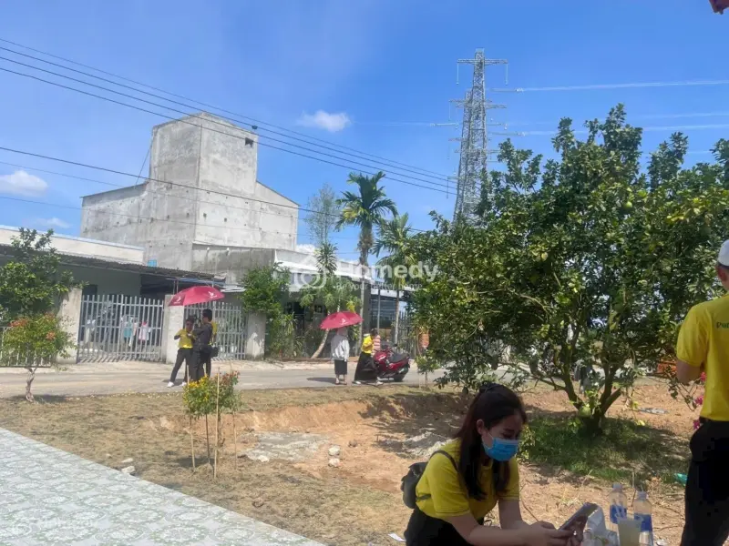 Cơ Hội Mua Đất 250M² Chỉ Với 300 Triệu Ban Đầu