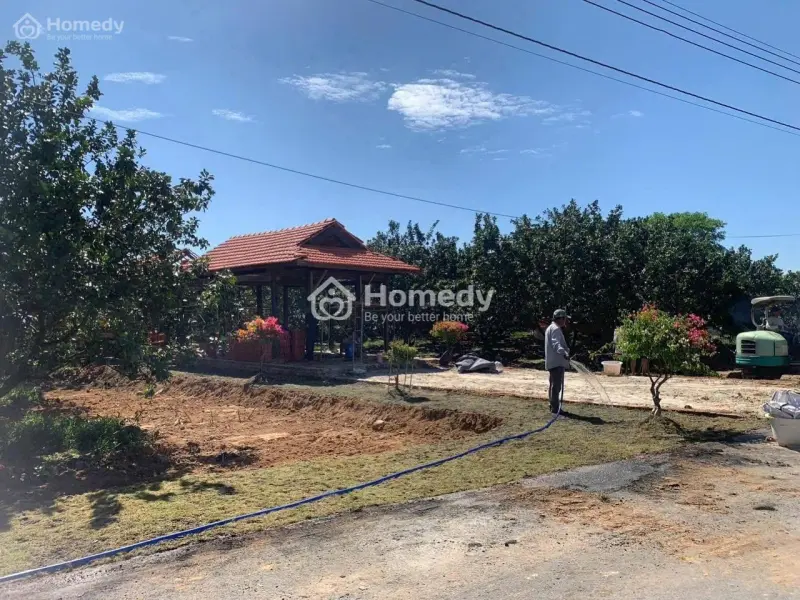 Cơ Hội Mua Đất 250M² Chỉ Với 300 Triệu Ban Đầu