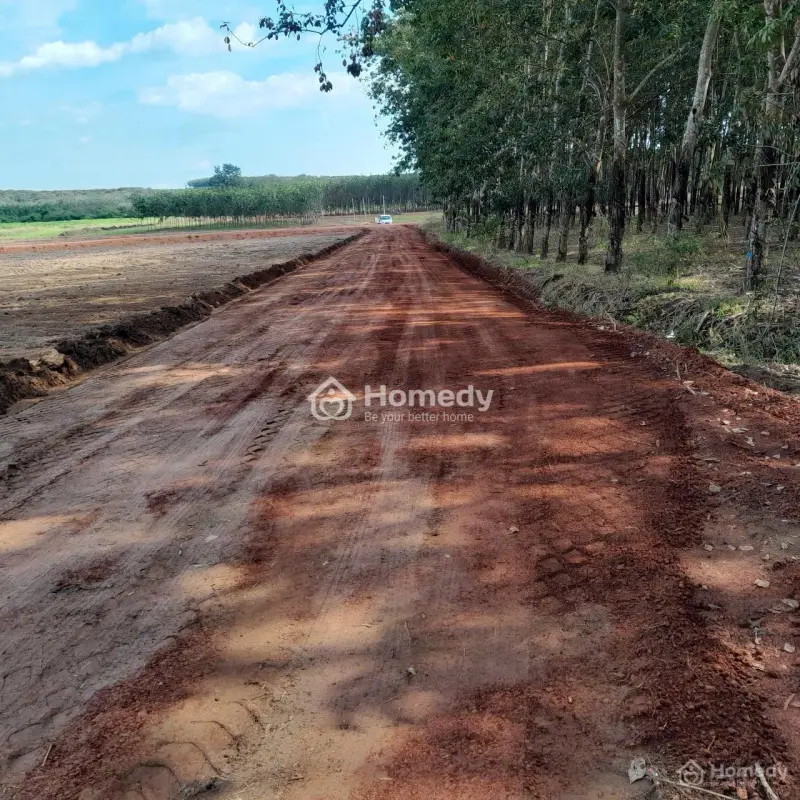 🔥 Cơ Hội Vàng Đón Sóng Quy Hoạch: Đất Nền Tân Tiến – Vị Trí "Vàng" Xuyên Tâm 🔥