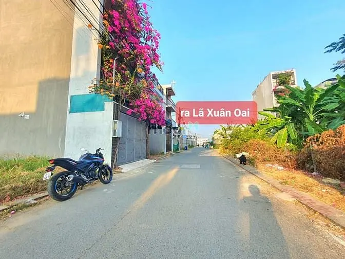 Bán Đất Hẻm 730 Lã Xuân Oai , Long Trường, Quận 9 -4 Tỷ 9. Ngang 5M