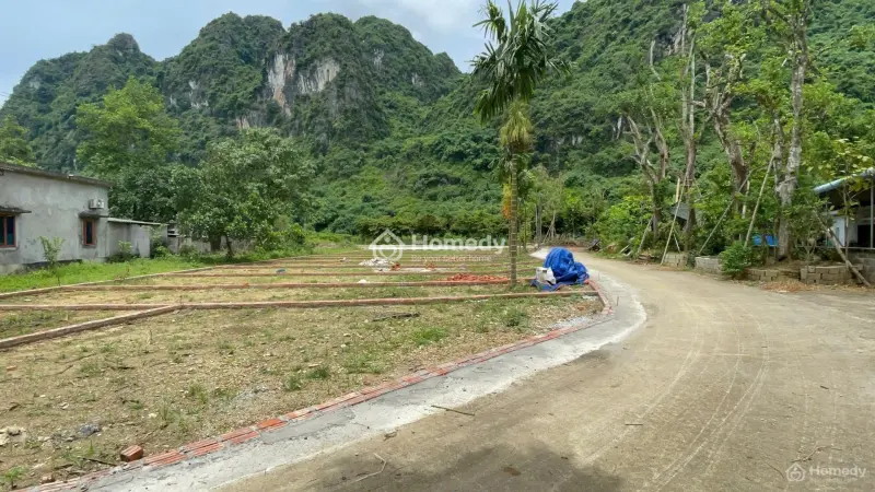 Hàng Hot: 1000 M2 Đất Full Thổ Cư, 4,5 Tr/M2 Thanh Sơn - Lương Sơn - Hoà Bình (Phú Thọ).