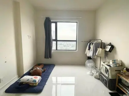 Tìm Người Ở Ghép Chung Cư Green River Quận 8