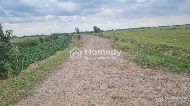 Cần Bán 3000M2 Đất Thổ Cư Tại Xã Thạnh Trị , Thị Xã Kiến Tường, Tỉnh Long An.