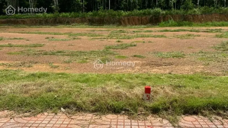 🚀 Vốn "Nhỏ" Chỉ 50Tr Đổi Lấy Sổ Đỏ Đồng Phú - Cơ Hội X2 Tài Sản Trong 6 Tháng