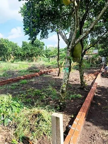 Cơ Hội X2,X3 Tài Sản Cho Nhà Đầu Tư, 120M² Đất Thổ Cư Giá Rẻ