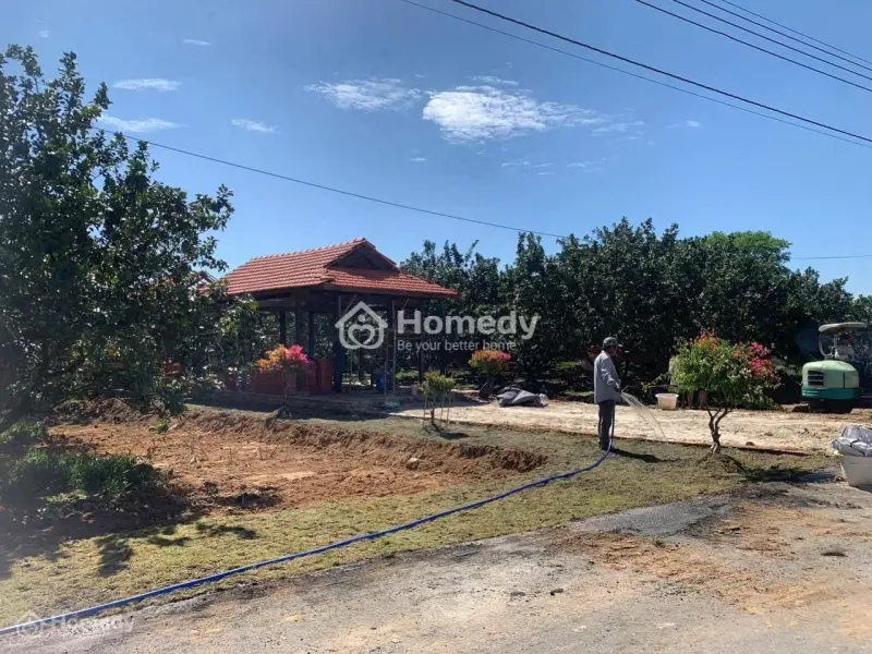 Chỉ Cần 250 Triệu Sở Hữu 260M² Đất Trừ Văn Thố – Bàu Bàng, Tp.hcm