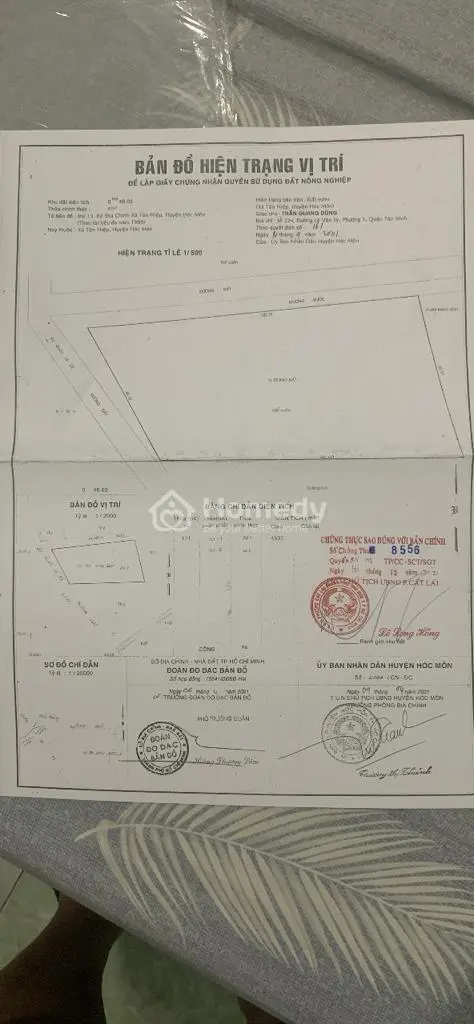 Đất Trồng Cây Lâu Năm Cần Bán Gấp