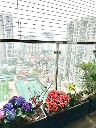 Bán Gấp Ch Imperia Garden 203 Nguyễn Huy Tưởng Dt100M 3Pn Sđcc 11,8 Tỷ