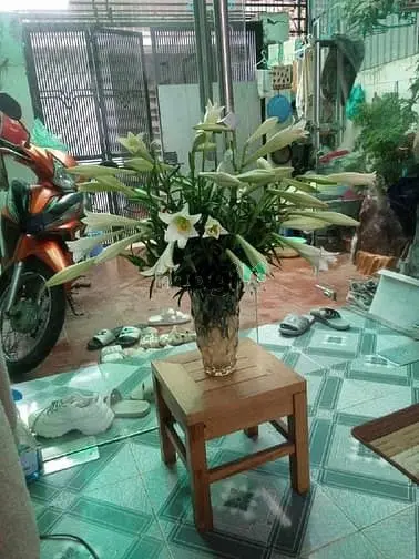 Nóng Cần Bán Nhà Tứ Liên - Tây Hồ Siêu Hiếm, Dọn Vào Ở Ngay