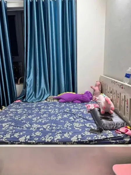 Chung Cư Central Plaza,P3, Tân Bình: 2P Ngủ Giá 12Tr5/Th