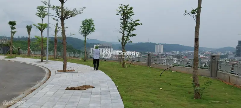 Bán Liền Kề 85M2 . Trực Tiếp Cdt. Tháng 01/2026