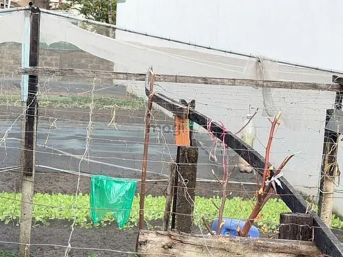 Bán Đất Thổ Cư Quận 2 Mặt Tiền Đường Ôtô Ngang 9.3M Giá Thương Lượng