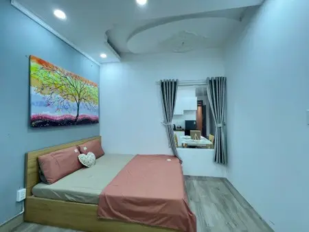 Cho Thuê Căn Hộ Chung Cư Mini 2Pn Quận 10 Gần Toà Nhà Viettel