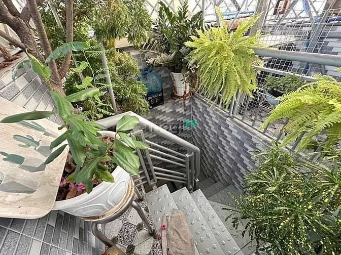 Nhà Thiết Kế Thoáng ,Đep- Hẻm Xe Hơi Thông.85,8M(5X12M2)Giá 8.8 Tỷ Tl