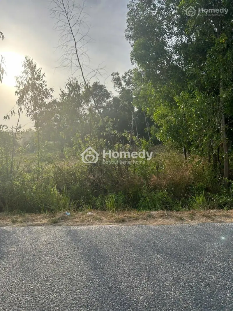 15X60(614M2) Cù Chính Lan Tân Bình Lagi Đường Nhựa Sát Trung Tâm Giá Rẻ