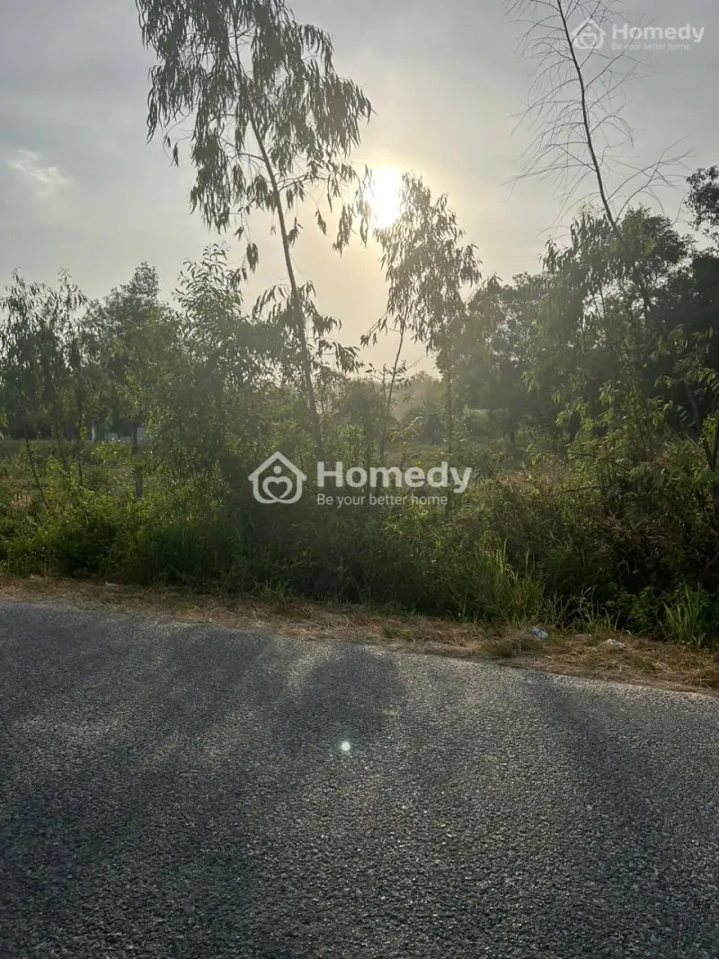 15X60(614M2) Cù Chính Lan Tân Bình Lagi Đường Nhựa Sát Trung Tâm Giá Rẻ