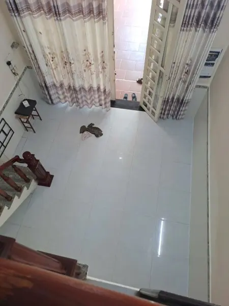 Cần Nữ Ở Ghép Nhà Nguyên Căn Siêu Rộng Rãi Thoải Mái – Vườn Lài Q12