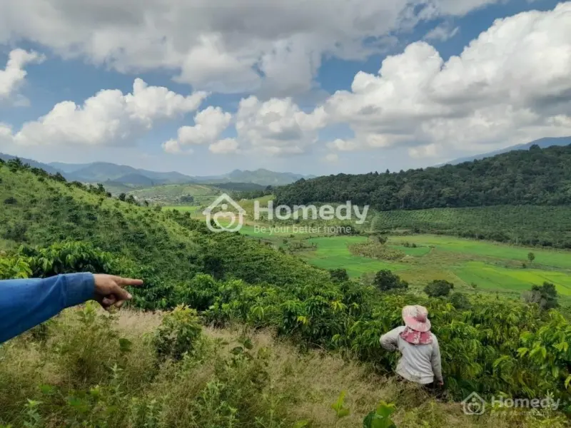 Bán 2 Ha Đất Cafe - Thu 15Tấn /Năm Thế Đất Triền Đồi Có Suối , Cách Đường 724 300M - Chỉ 7Tỷ