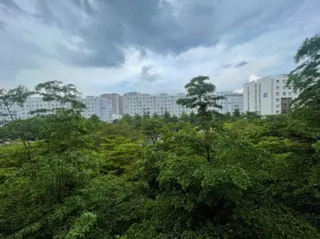 Cho Thuê Căn Hộ 50M² - View Công Viên Chính, Giá Siêu Hấp Dẫn