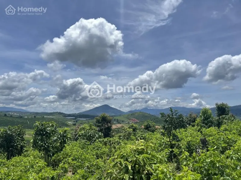 Bán 2 Ha Đất Cafe - Thu 15Tấn /Năm Thế Đất Triền Đồi Có Suối , Cách Đường 724 300M - Chỉ 7Tỷ