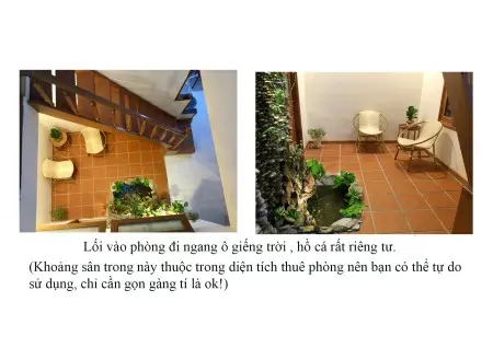 Cho Thuê Phòng Có Cửa Sổ Cây Xanh Rất Đẹp Ngay Đầu Cầu Rồng Giá 3 Triệu