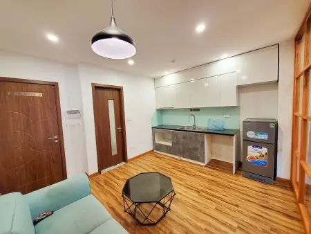 Chính Chủ Cho Thuê Căn Hộ 1 Ngủ 1 Khách Đường Trần Duy Hưng