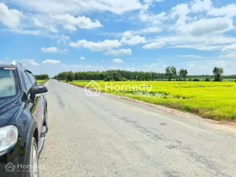 Bán Gấp 2541M2 Đất Trồng Cây Lâu Năm Ở Mỹ Thạnh Đông – View Kênh Mát Mẻ - Giá Tốt